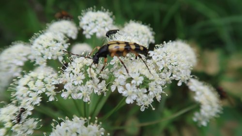 Freundschaftswoche Juni 2018