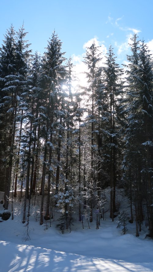 Schneeschuhwanderwoche