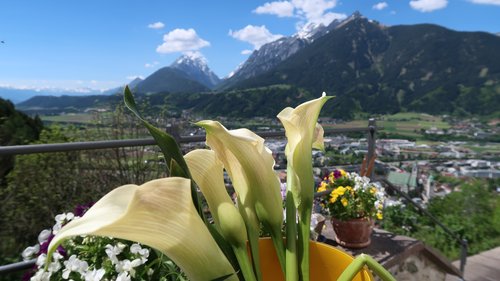 Freundschaftswoche 2017