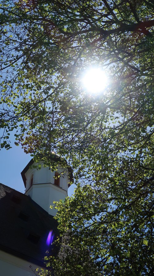 Freundschaftswoche 2017