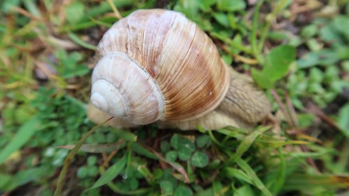 Freundschaftswoche 2017