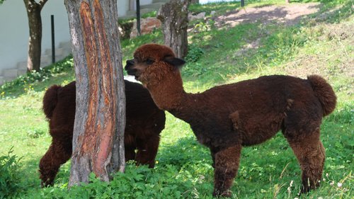 Freundschaftswoche Juni 2018