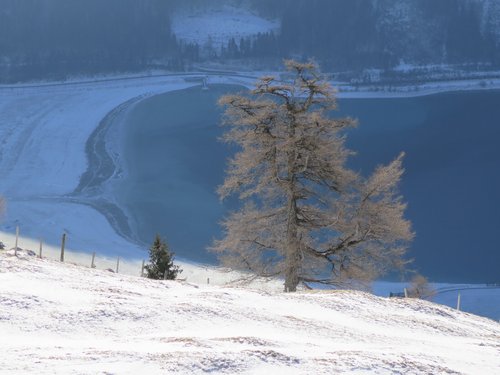 Winterwonderland im Jänner 2017