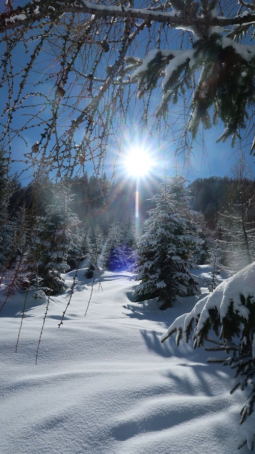 Schneeschuhwanderwoche