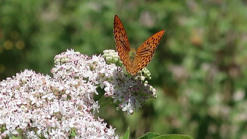 Freundschaftswoche Juni 2018