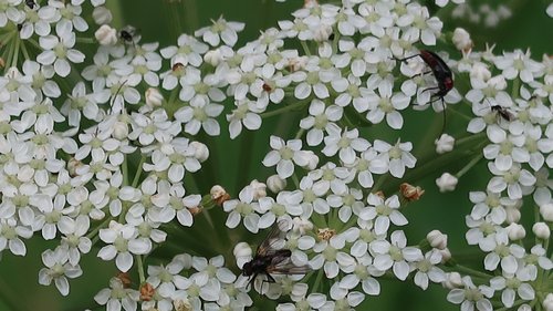 Freundschaftswoche Juni 2018