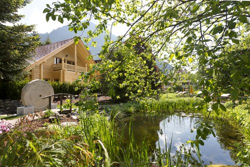 Biotop Teich im Garten