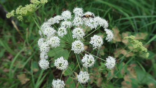 Freundschaftswoche Juni 2018