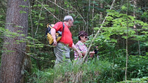 Freundschaftswoche Juni 2018