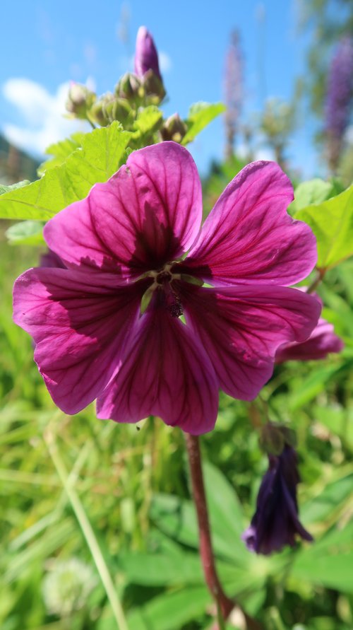 Freundschaftswoche Juni 2018