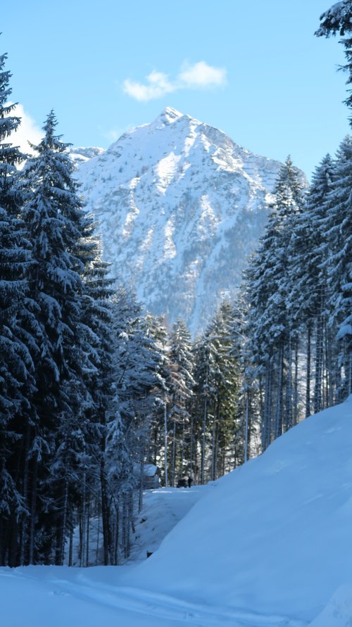 Schneeschuhwanderwoche