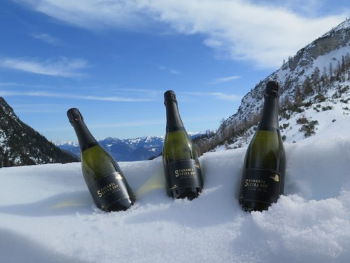 Schneeschuhwanderwoche 2