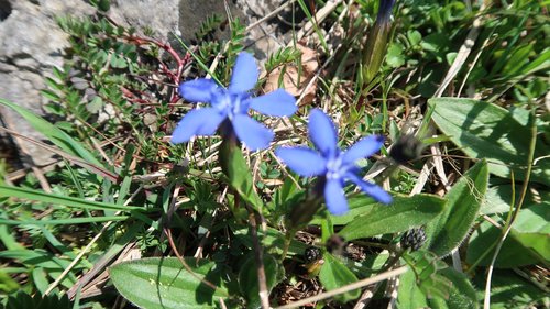 Freundschaftswoche 2017