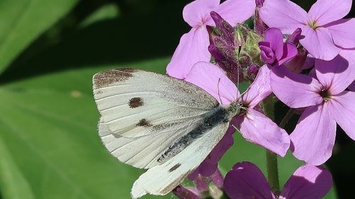 Freundschaftswoche Juni 2018
