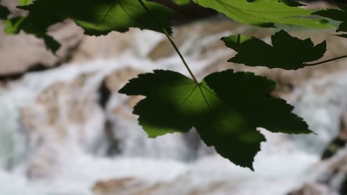 Freundschaftswoche Juni 2018