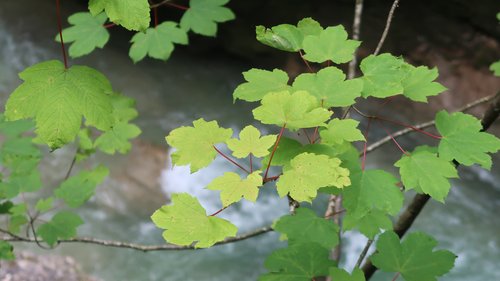 Freundschaftswoche Juni 2018