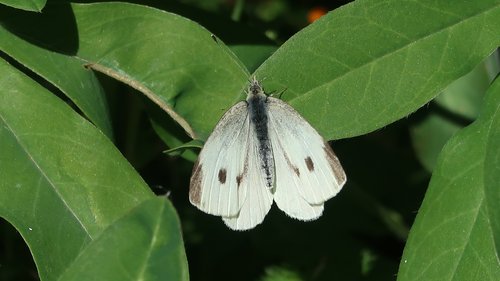 Freundschaftswoche Juni 2018