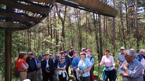 Freundschaftswoche 2017