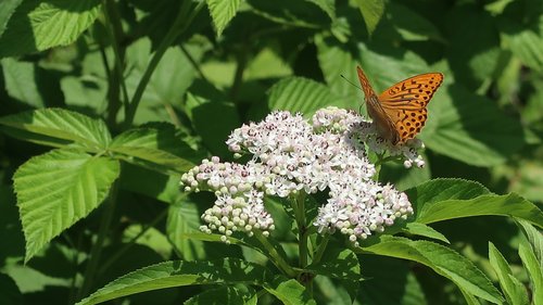 Freundschaftswoche Juni 2018